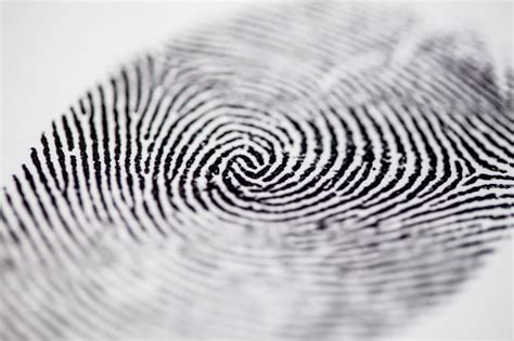 Fingerprints 